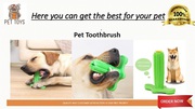 Here you can get the best for your pet Cacatus toothbrush